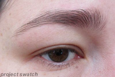 no eyebrow product no eyebrow product