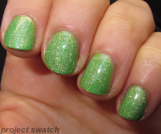 notd - st patricks day