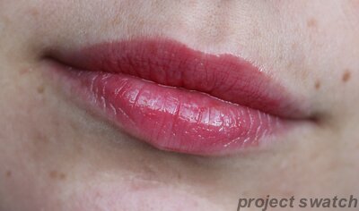 ELF Berry Lip Balm Tint